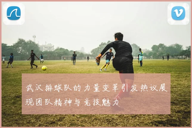 武汉排球队的力量变革引发热议展现团队精神与竞技魅力